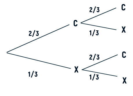 ejercicio diagrama de arbol selectividad junio 2023 andalucia